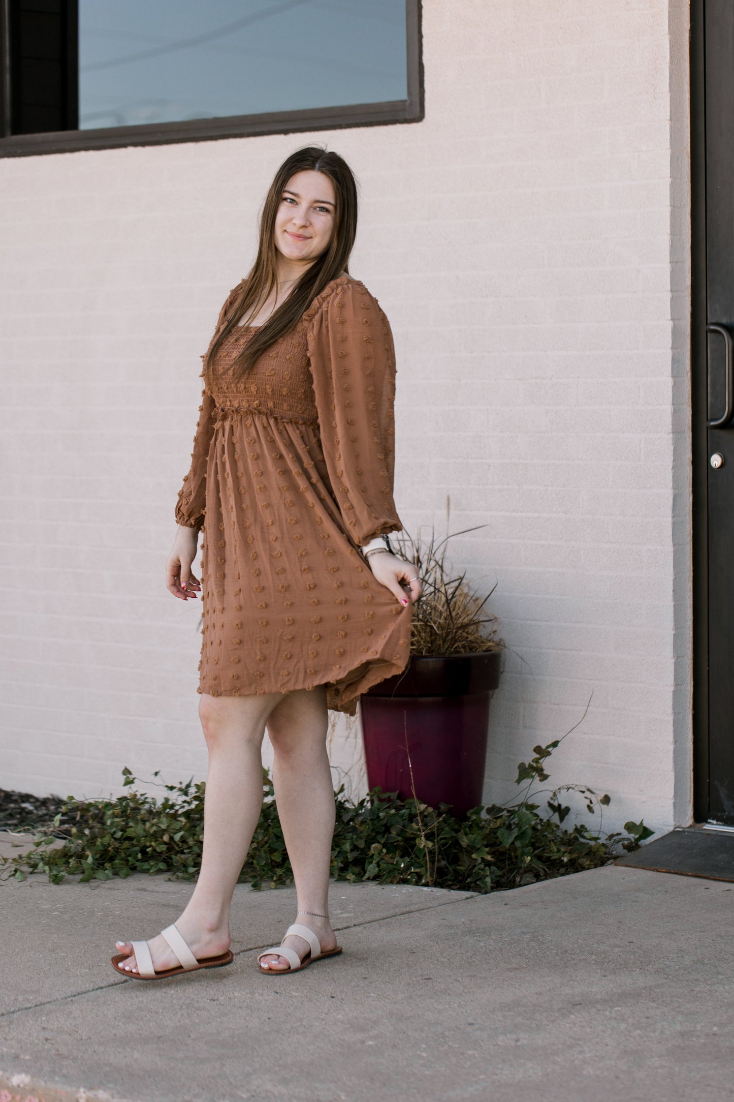 Swiss Dot Mini Dress in Brown