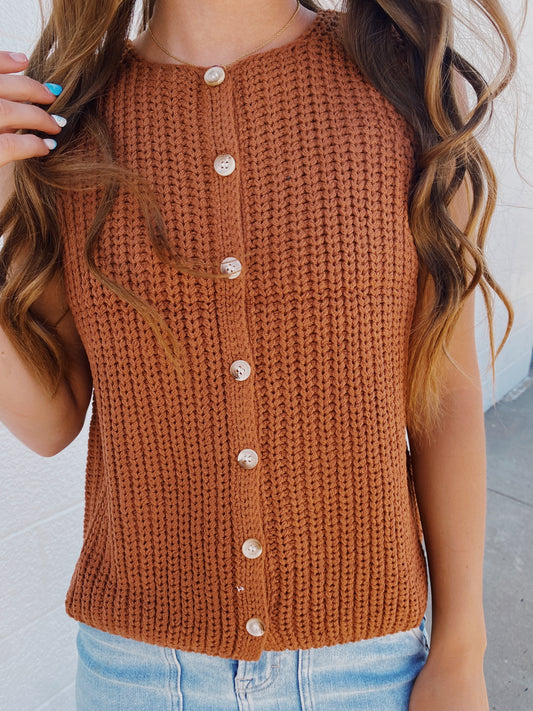 Button Front Sweater in Brick